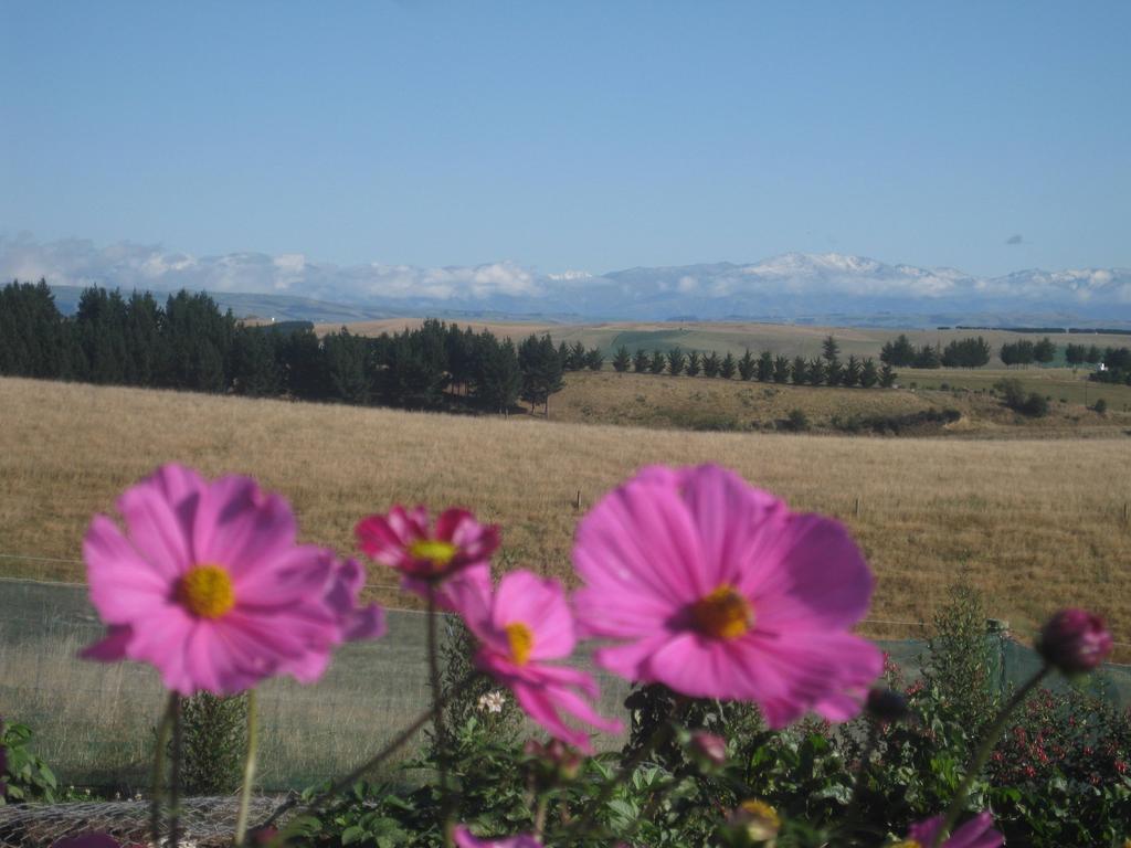 Solace Country House Bed And Breakfast Timaru Εξωτερικό φωτογραφία